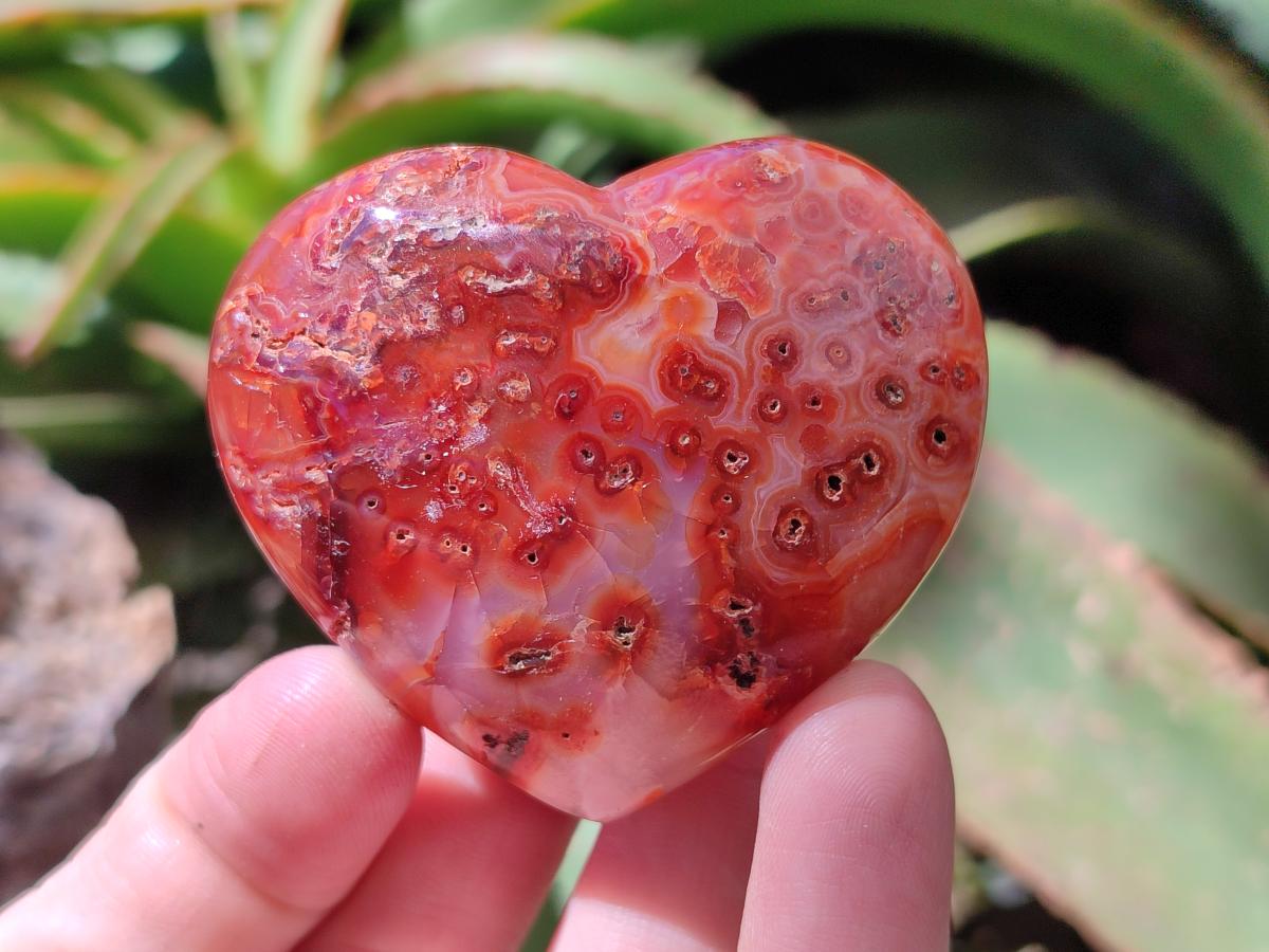 Polished Carnelian Agate Gemstone Hearts x 12 From Madagascar