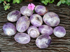 Polished Chevron Amethyst Palm Stones x 12 From Madagascar