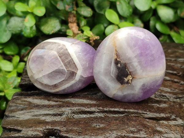 Polished Chevron Amethyst Palm Stones x 12 From Madagascar
