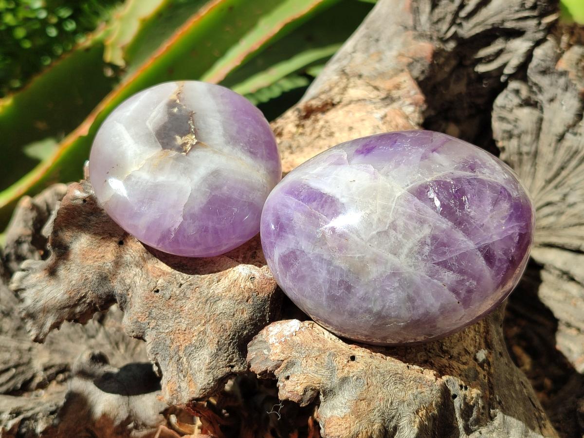 Polished Chevron Amethyst Palm Stones x 12 From Madagascar
