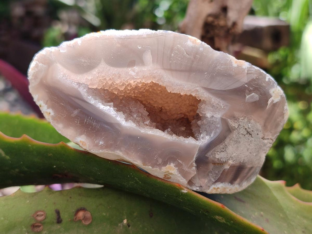 Polished Agates with Crystalline Geodes x 6 From Maintirano, Madagascar