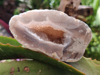 Polished Agates with Crystalline Geodes x 6 From Maintirano, Madagascar