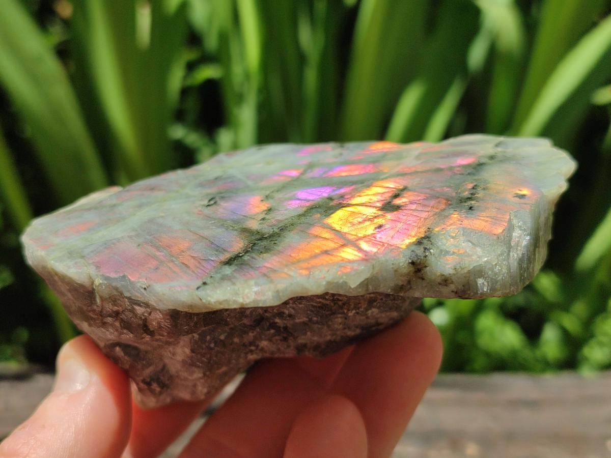 Polished One Side Labradorite Display Pieces x 6 From Madagascar