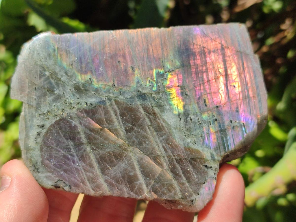 Polished One Side Labradorite Display Pieces x 6 From Madagascar