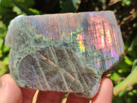 Polished One Side Labradorite Display Pieces x 6 From Madagascar