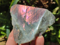 Polished One Side Labradorite Display Pieces x 6 From Madagascar