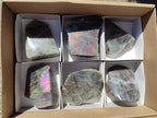 Polished One Side Labradorite Display Pieces x 6 From Madagascar