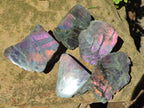 Polished One Side Labradorite Display Pieces x 6 From Madagascar