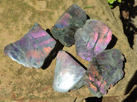 Polished One Side Labradorite Display Pieces x 6 From Madagascar