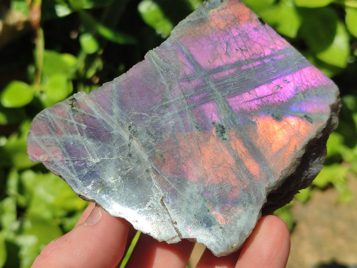 Polished One Side Labradorite Display Pieces x 6 From Madagascar