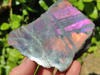 Polished One Side Labradorite Display Pieces x 6 From Madagascar