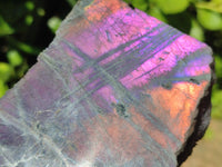 Polished One Side Labradorite Display Pieces x 6 From Madagascar