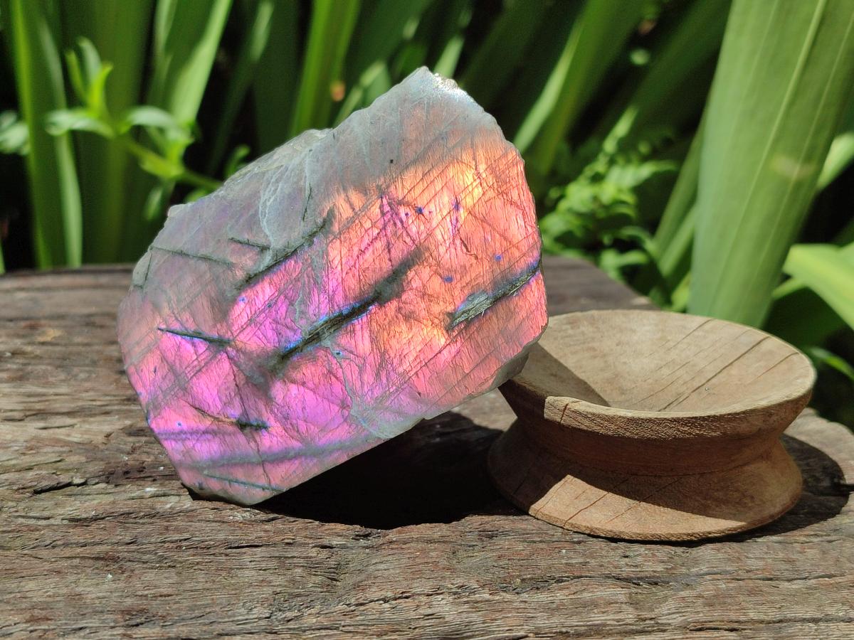 Polished One Side Labradorite Display Pieces x 6 From Madagascar