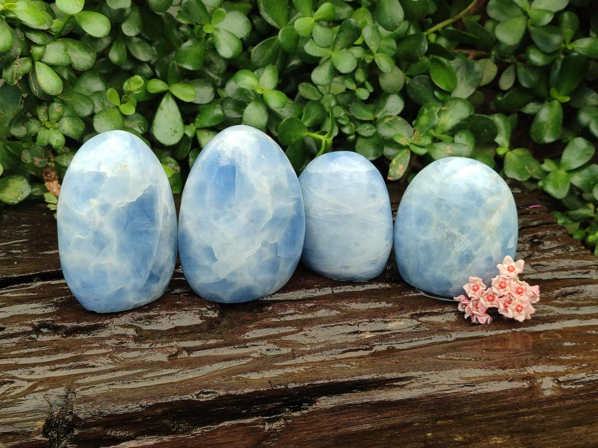 Polished Blue Calcite Standing Free Forms x 4 From Madagascar