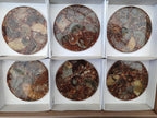 Hand Made Ammonite Conglomerate Coffee Table Coasters x 6 From Mahajanga, Madagascar - Toprock Gemstones and Minerals 
