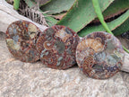 Hand Made Ammonite Conglomerate Coffee Table Coasters x 6 From Mahajanga, Madagascar - Toprock Gemstones and Minerals 