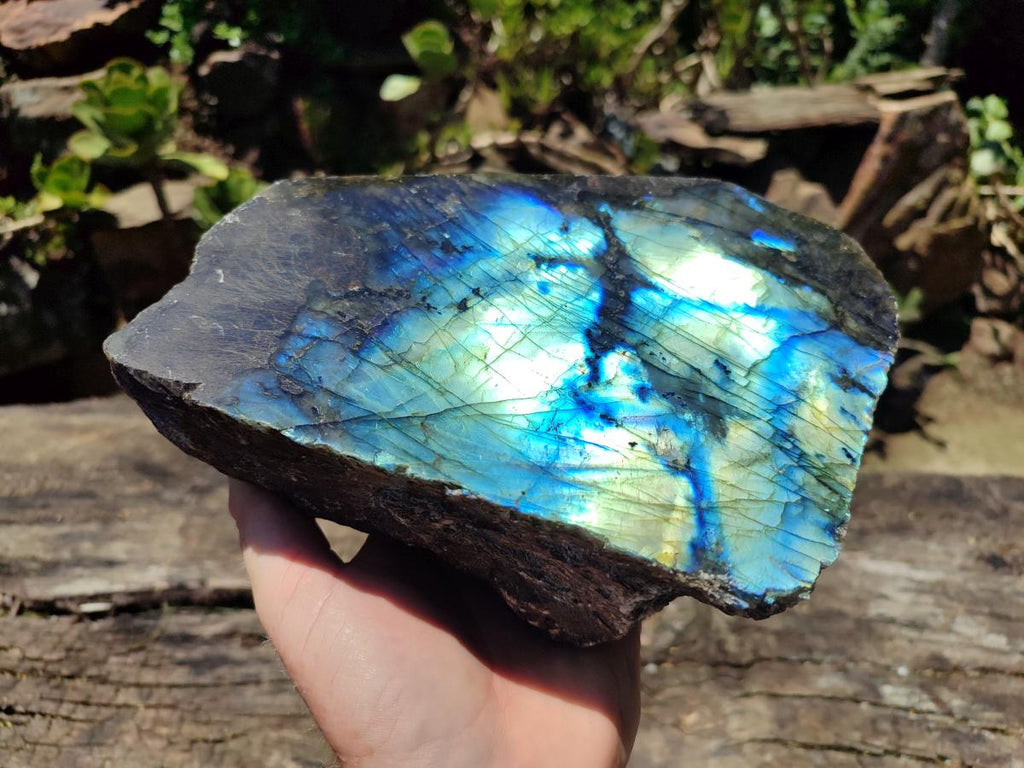 Polished On One Side Labradorite Display Piece x 1 From Madagascar