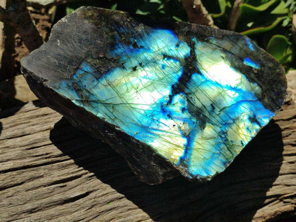 Polished On One Side Labradorite Display Piece x 1 From Madagascar