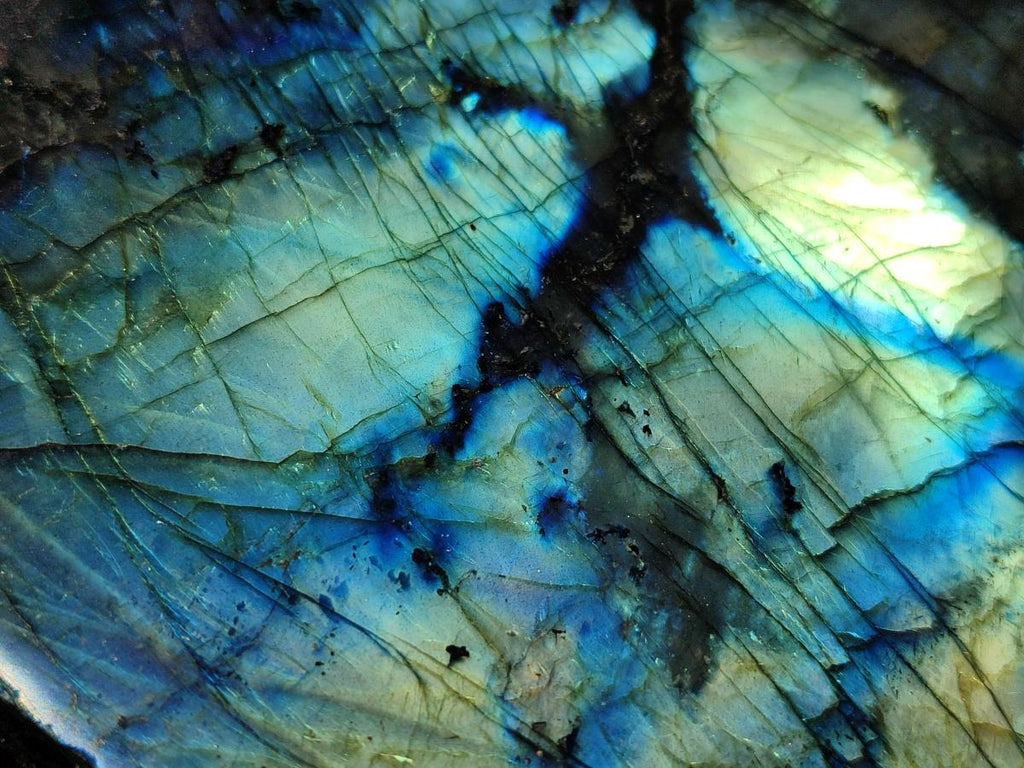 Polished On One Side Labradorite Display Piece x 1 From Madagascar