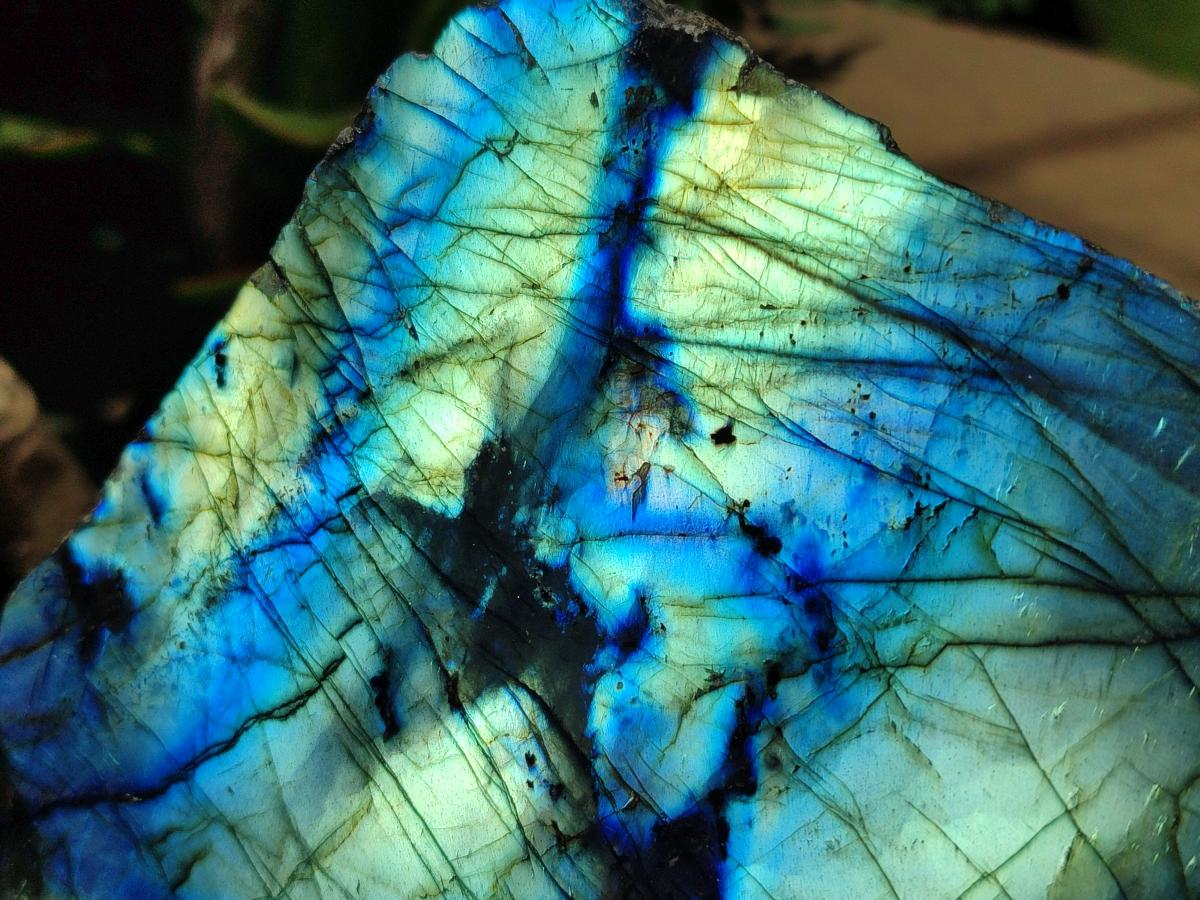 Polished On One Side Labradorite Display Piece x 1 From Madagascar