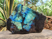 Polished On One Side Labradorite Display Piece x 1 From Madagascar