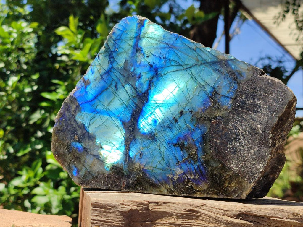 Polished On One Side Labradorite Display Piece x 1 From Madagascar