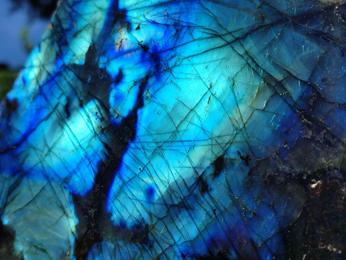 Polished On One Side Labradorite Display Piece x 1 From Madagascar