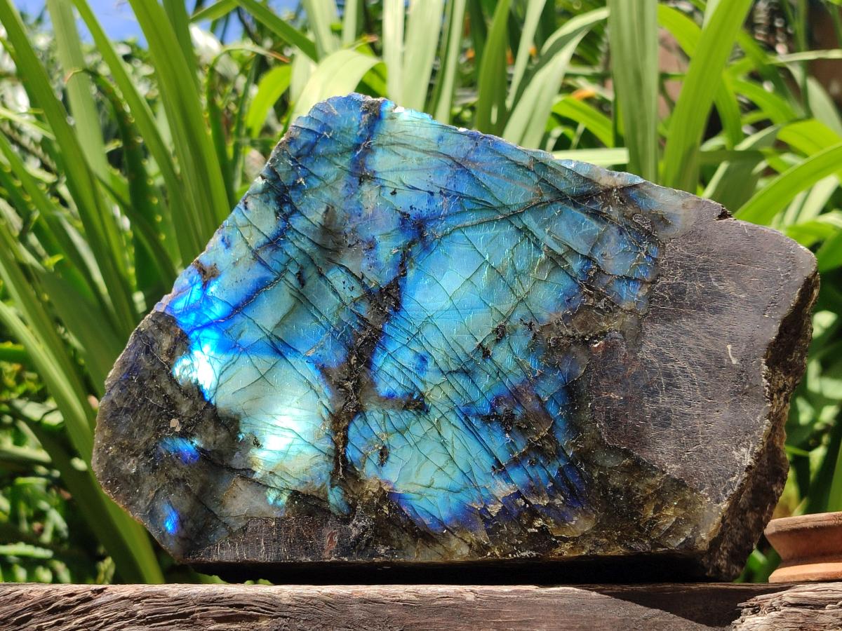 Polished On One Side Labradorite Display Piece x 1 From Madagascar