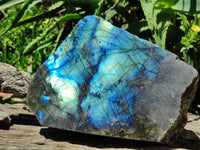 Polished On One Side Labradorite Display Piece x 1 From Madagascar