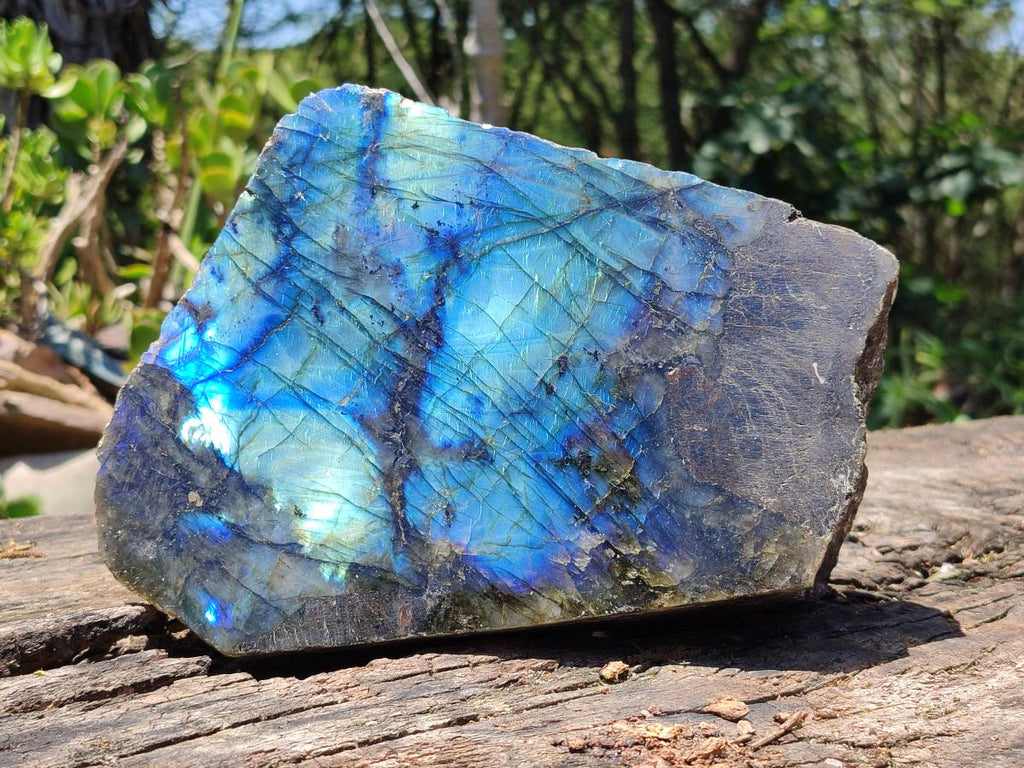 Polished On One Side Labradorite Display Piece x 1 From Madagascar