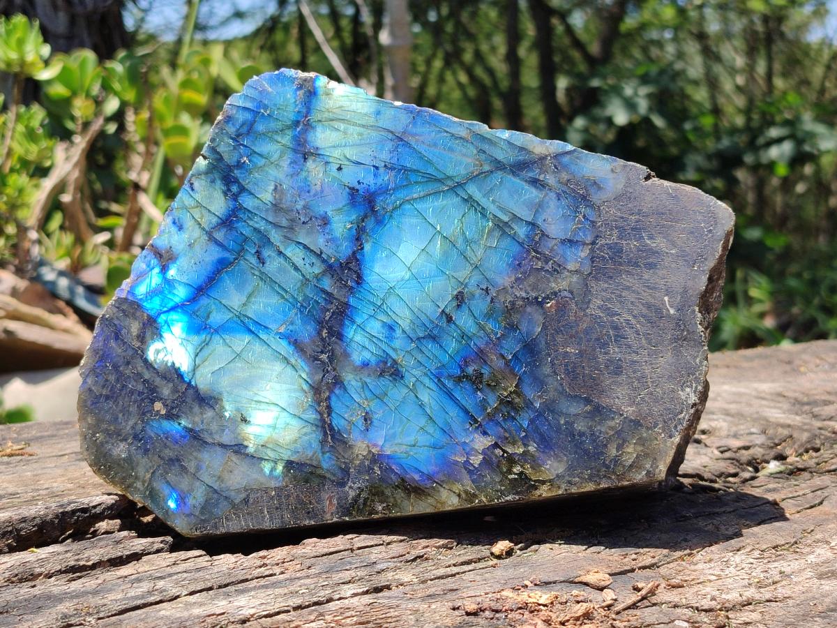 Polished On One Side Labradorite Display Piece x 1 From Madagascar