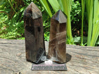 Polished Wispy Smokey Quartz Crystals x 2 From Madagascar