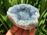 Natural Blue Celestite Specimens x 4 From Sakoany, Madagascar