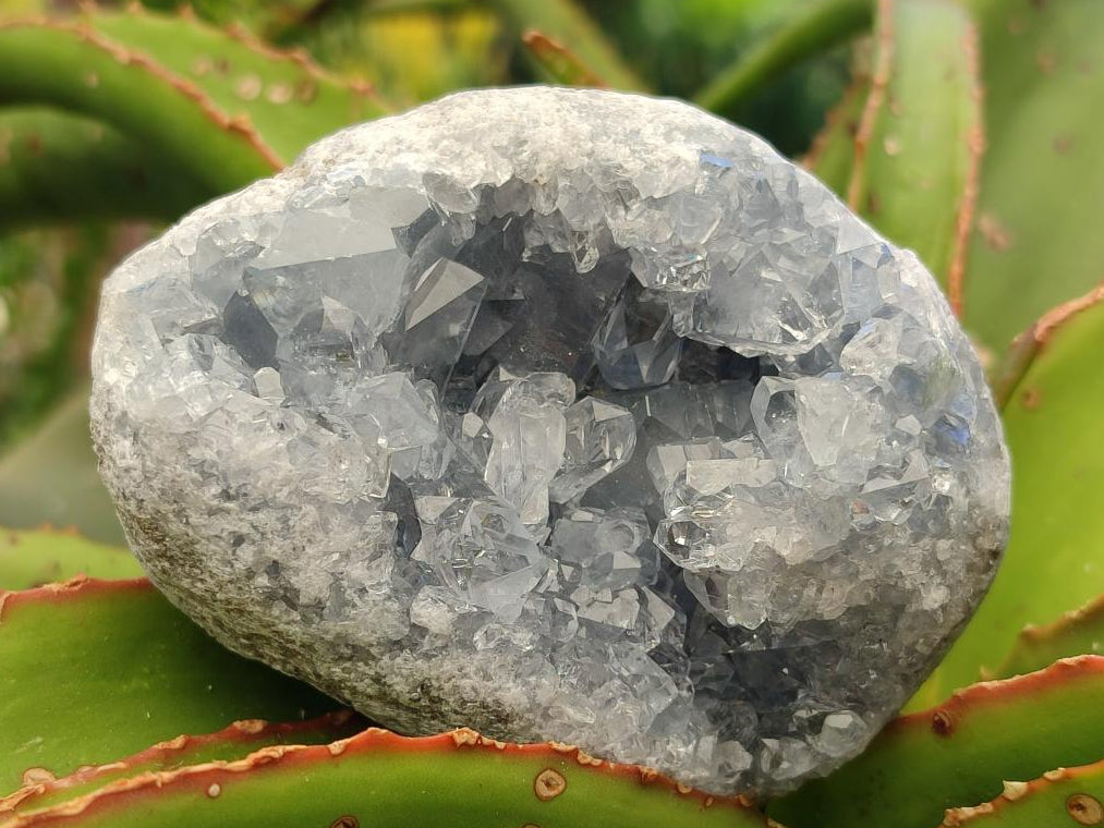 Natural Blue Celestite Specimens x 4 From Sakoany, Madagascar