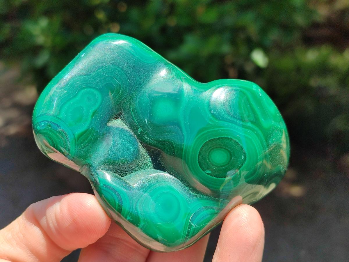 Polished Flower Banded Malachite Free Forms x 6 From Congo