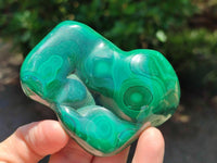 Polished Flower Banded Malachite Free Forms x 6 From Congo
