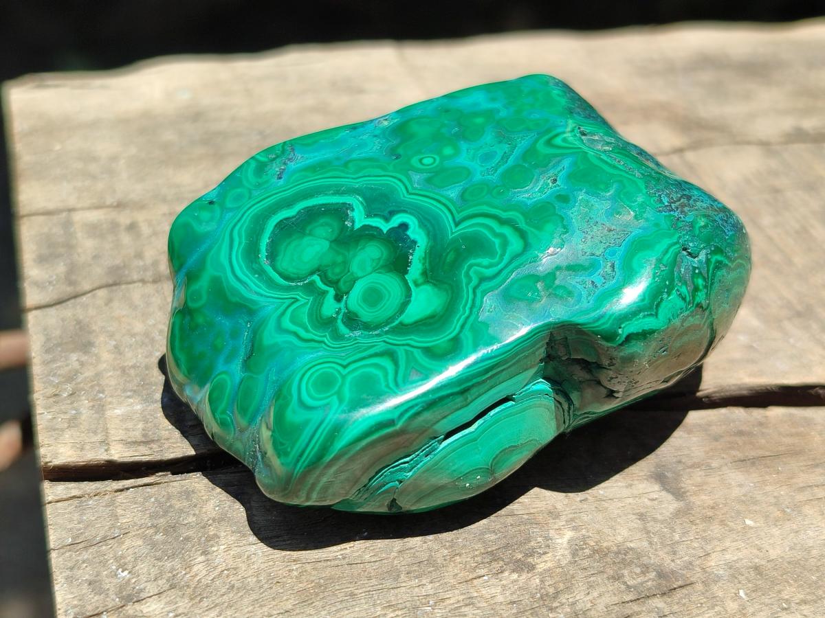 Polished Flower Banded Malachite Free Forms x 6 From Congo