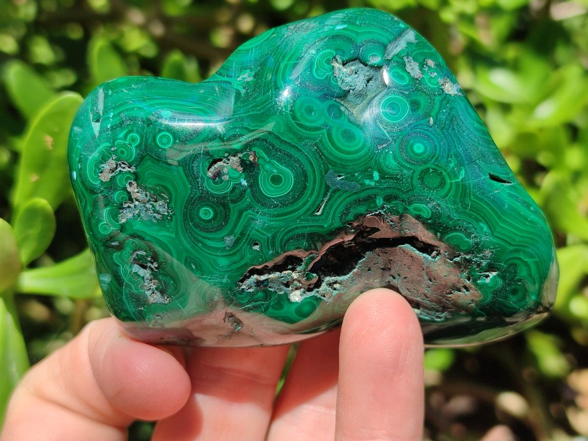 Polished Flower Banded Malachite Free Forms x 6 From Congo