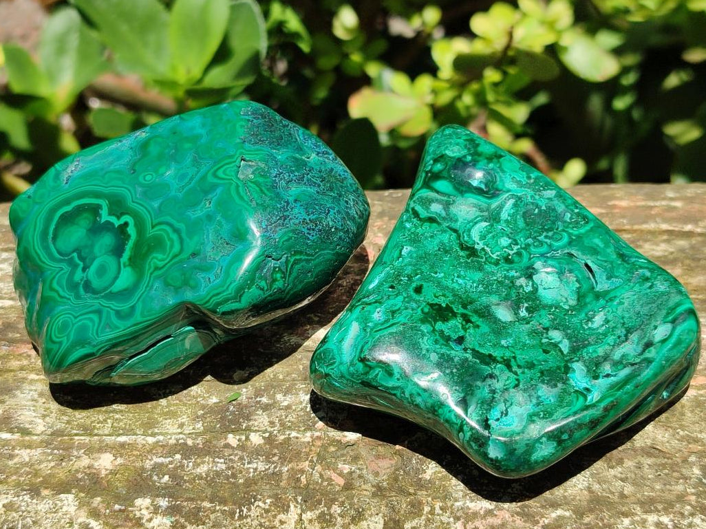 Polished Flower Banded Malachite Free Forms x 6 From Congo