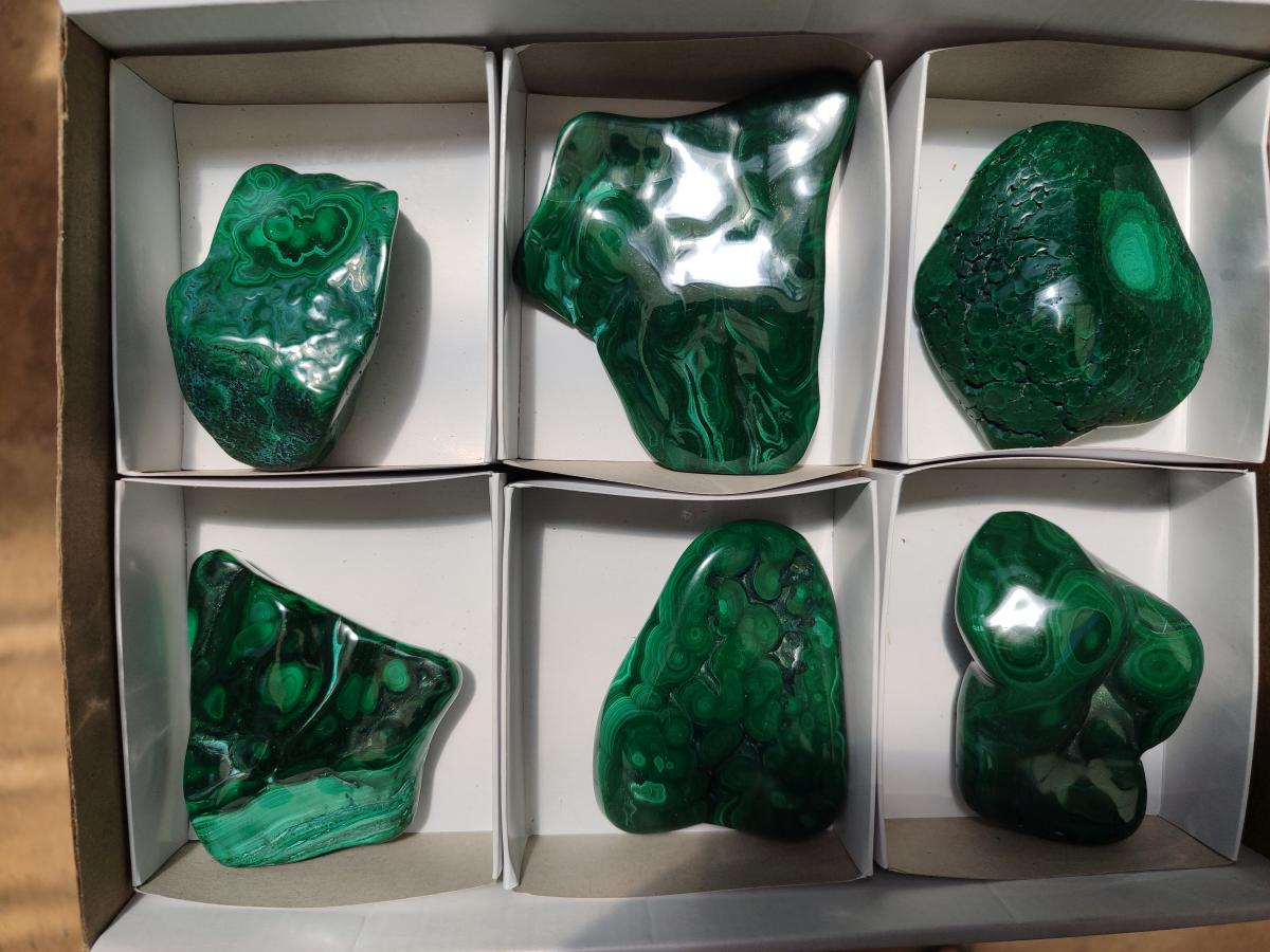 Polished Flower Banded Malachite Free Forms x 6 From Congo