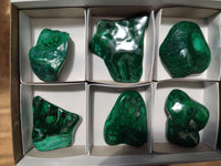 Polished Flower Banded Malachite Free Forms x 6 From Congo