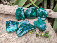Polished Flower Banded Malachite Free Forms x 6 From Congo