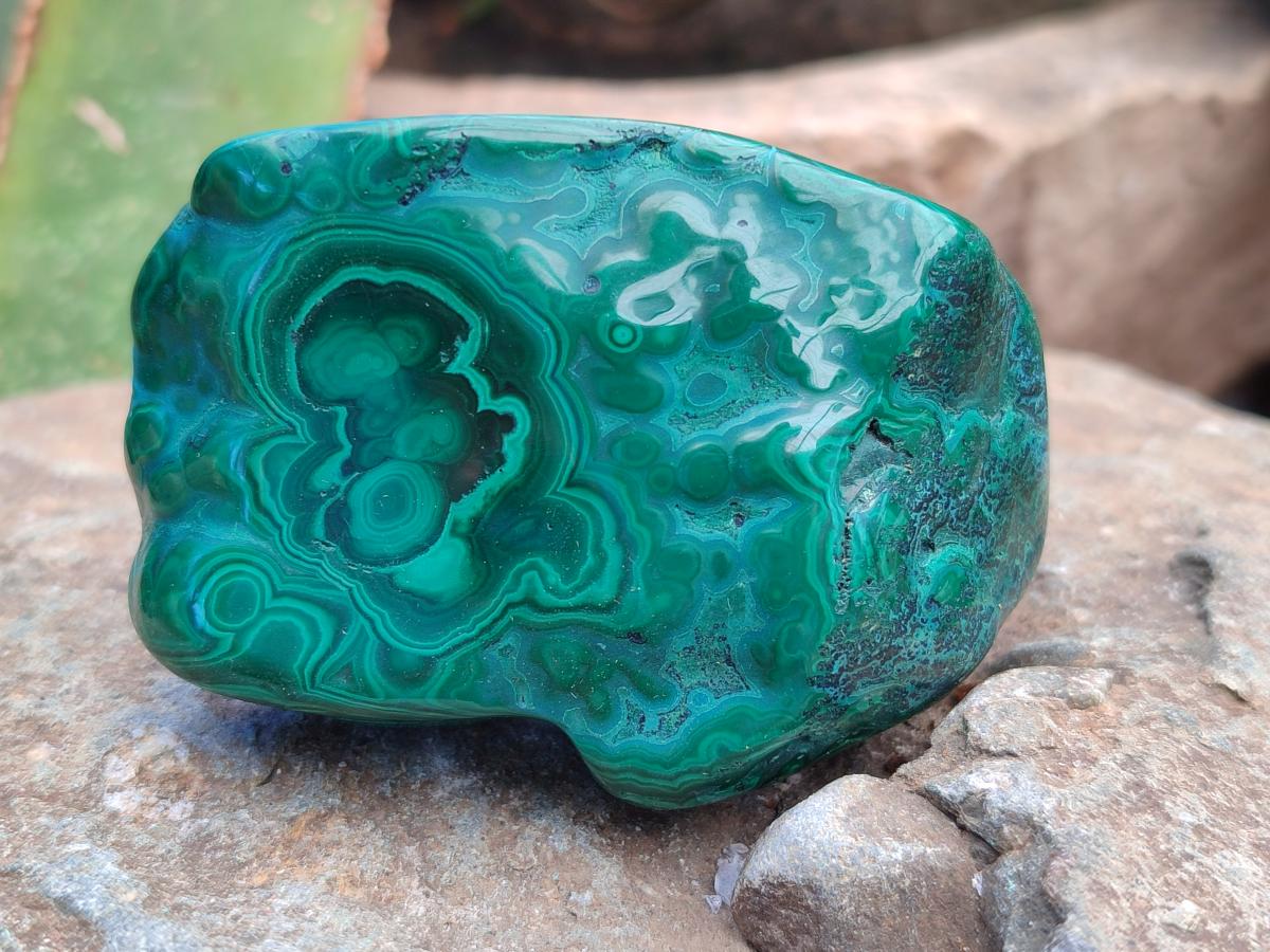Polished Flower Banded Malachite Free Forms x 6 From Congo