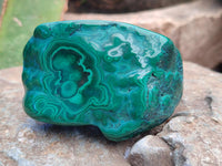 Polished Flower Banded Malachite Free Forms x 6 From Congo