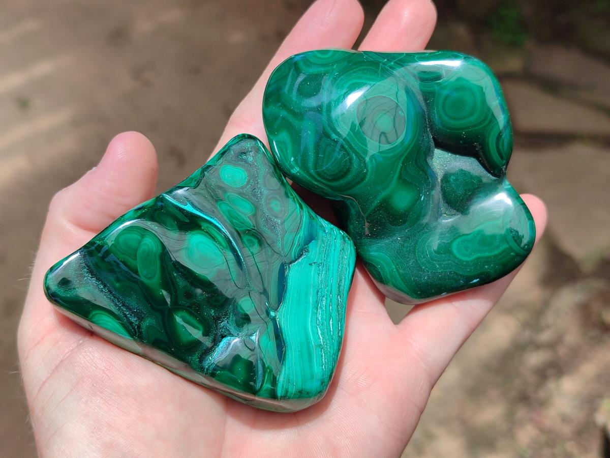 Polished Flower Banded Malachite Free Forms x 6 From Congo