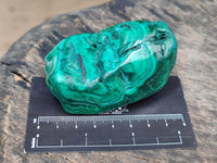 Polished Flower Banded Malachite Free Forms x 6 From Congo