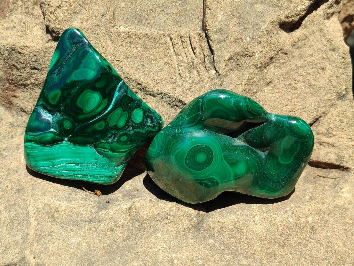 Polished Flower Banded Malachite Free Forms x 6 From Congo