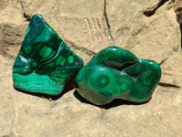 Polished Flower Banded Malachite Free Forms x 6 From Congo