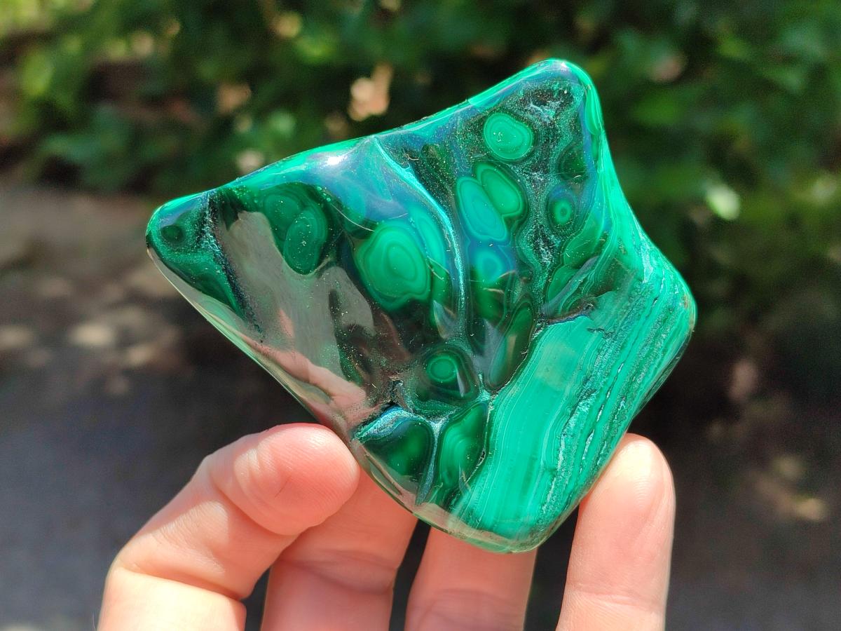 Polished Flower Banded Malachite Free Forms x 6 From Congo