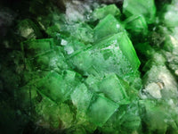 Natural Cubic Green Fluorite Cluster Specimen x 1 From Mandrosonoro, Madagascar